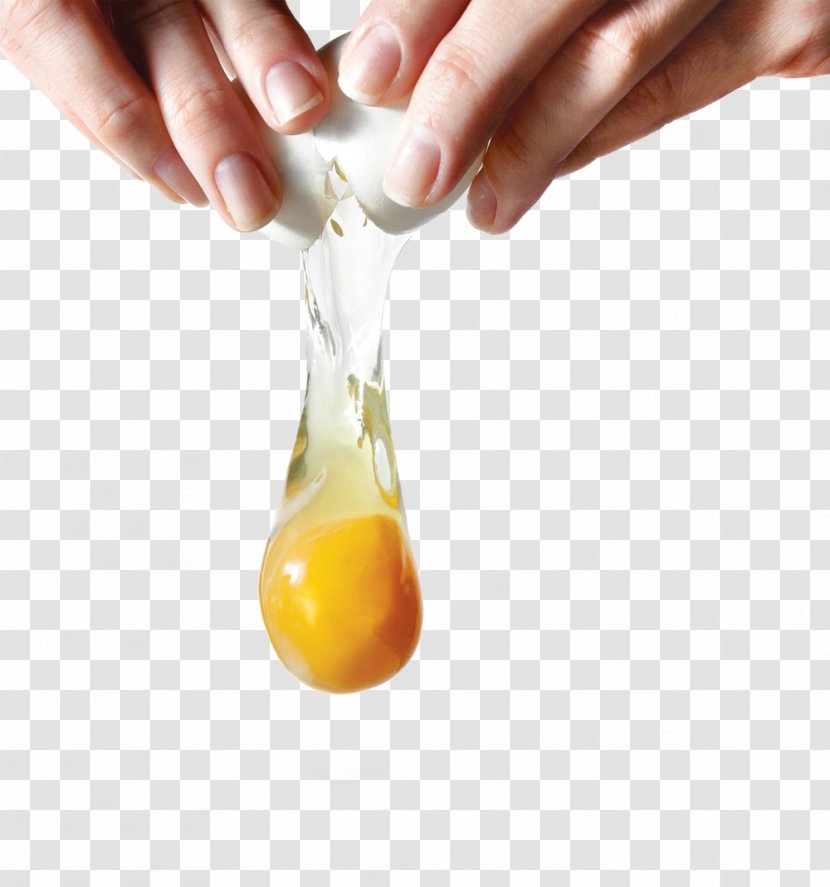 Eggshell Yolk Stock Photography Egg White - Ingredient - Eggs Transparent PNG