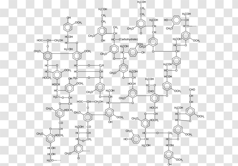 Lignin Cellulose Paper Polymer Chemistry - Line Art - Plant Transparent PNG