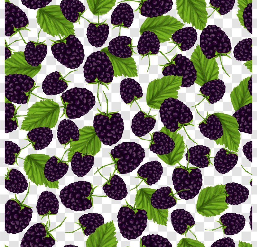 Frutti Di Bosco BlackBerry Pattern - Bilberry - Fresh Blackberry Seamless Background Transparent PNG
