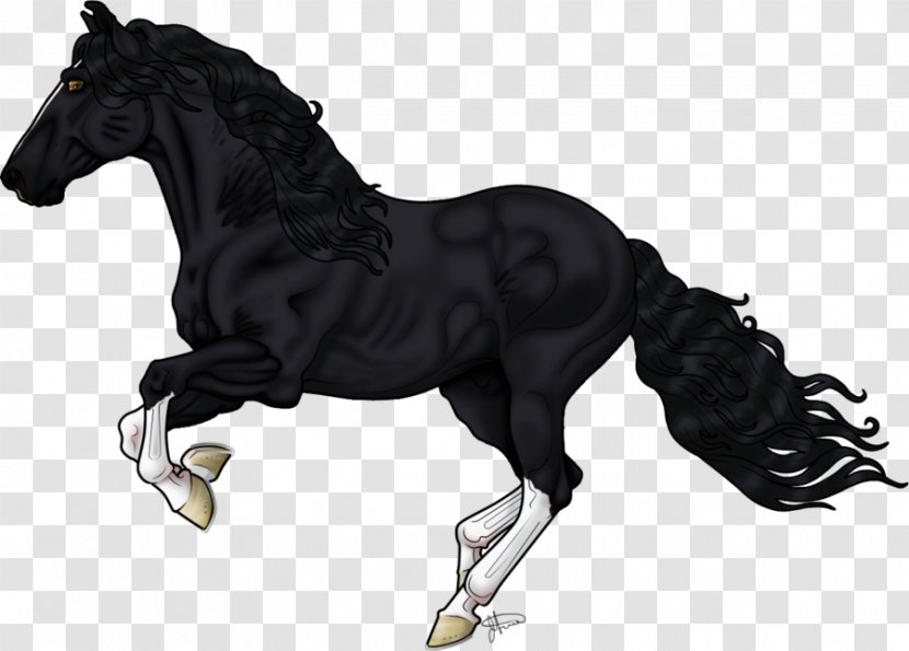 Stallion Mustang Mare Halter Rein Transparent PNG