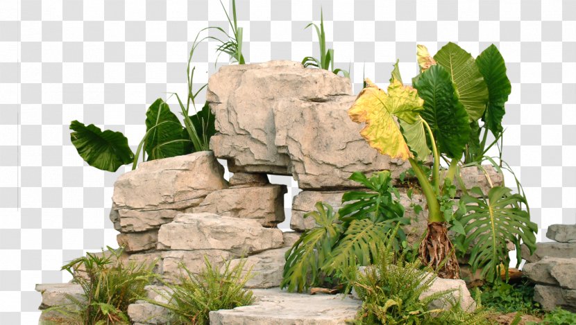 Garden Landscape Park - Landscaping - Rockery Stone Transparent PNG
