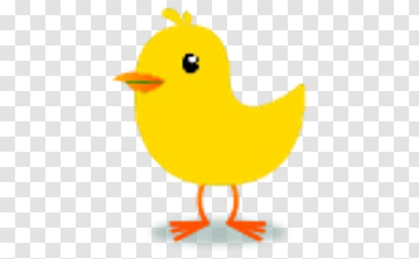 Clip Art Bird Tweety Domestic Canary - Rubber Ducky Transparent PNG