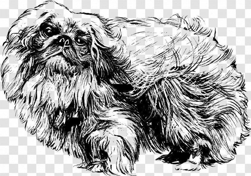 Pekingese Shih Tzu Papillon Dog English Cocker Spaniel Yorkshire Terrier - Maltese Transparent PNG