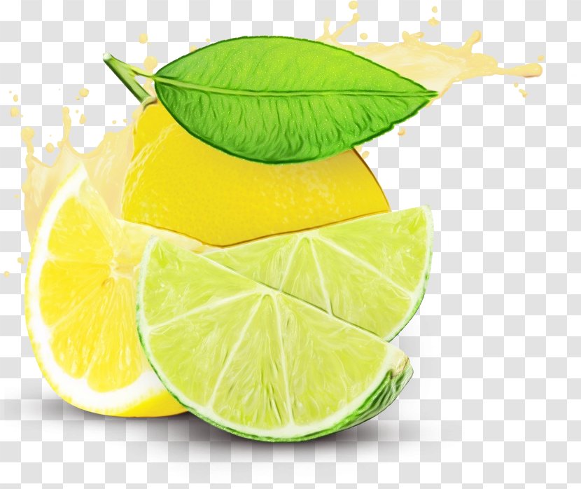 Green Leaf Background - Key Lime - Citron Plant Transparent PNG