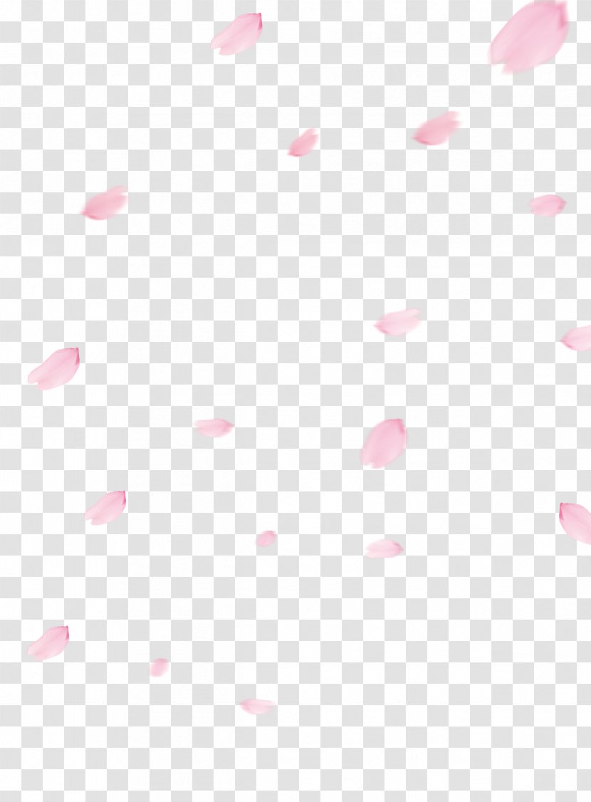 Cherry Blossom Flower - Petals Transparent PNG