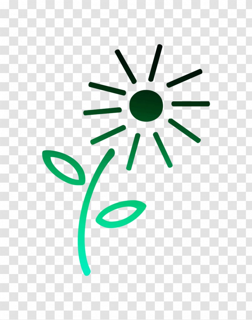Clip Art Brand Logo Point Angle - Leaf - Green Transparent PNG