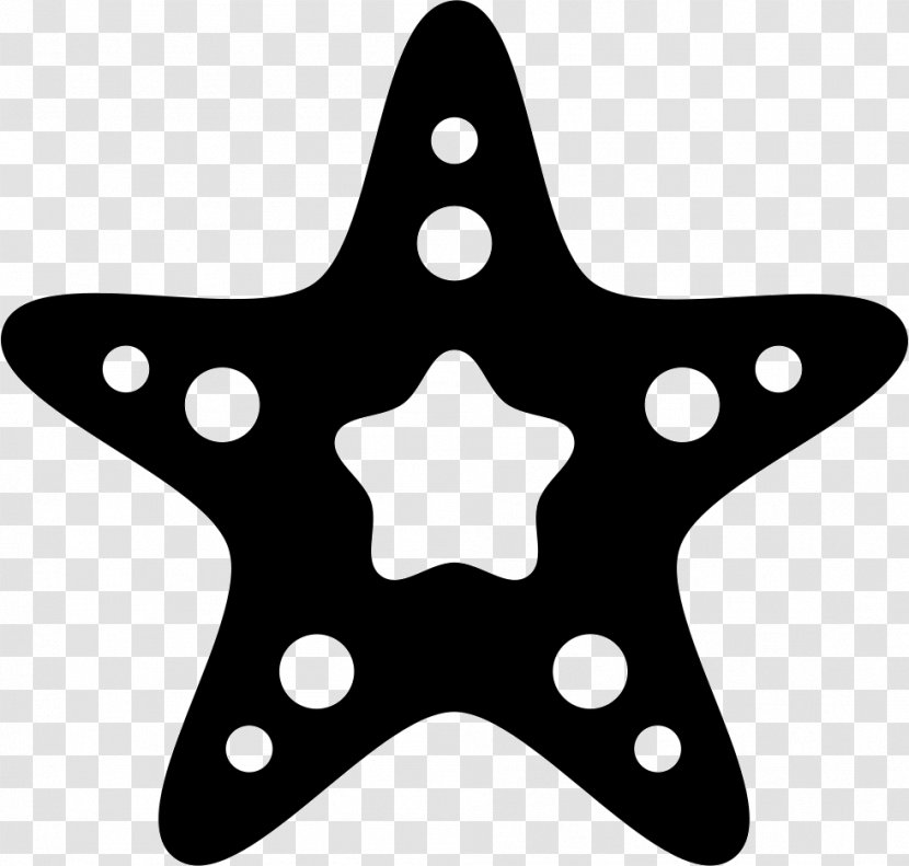 Vector Graphics Illustration Symbol - Star Transparent PNG