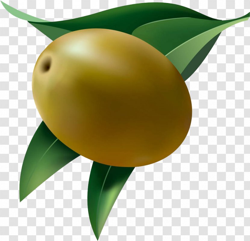Fruit Olive Clip Art - An Transparent PNG