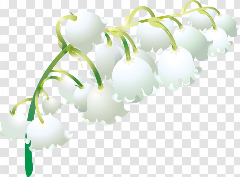 May 1 Flower Plant Stem Petal - Branch - Lily Of The Valley Transparent PNG