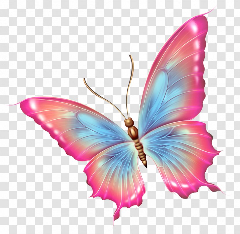 Butterfly Insect Clip Art - Wing - Dragonfly Transparent PNG