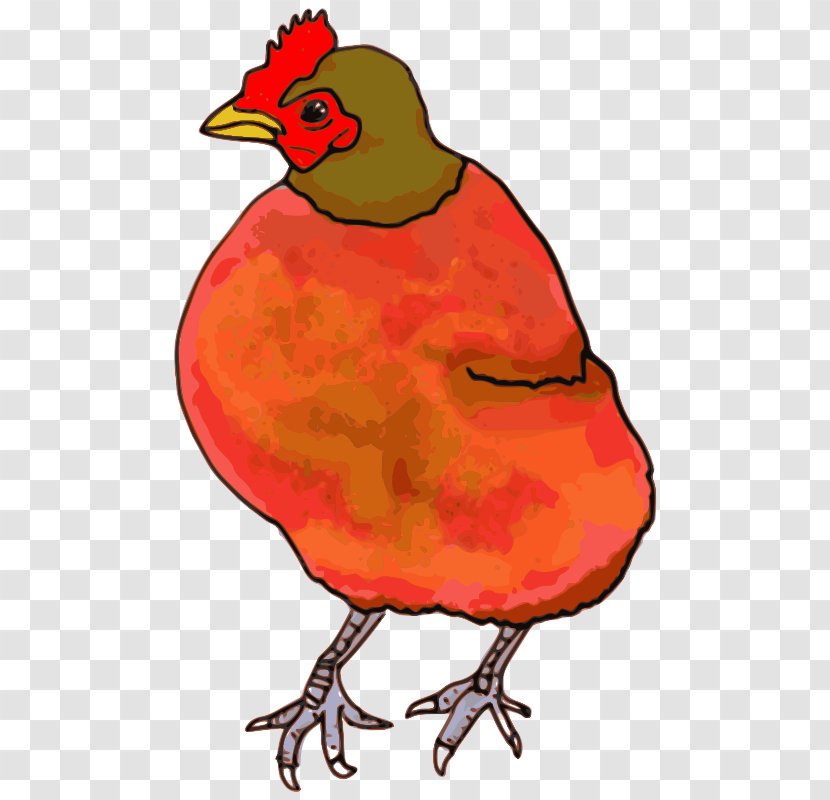 The Little Red Hen Chicken Clip Art - Cartoon - Watercolor Transparent PNG