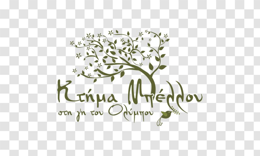 Ktima Bellou ANODOS ΣΥΜΒΟΥΛΕΥΤΙΚΗ Afacere Business Logo - Tree - Mount Olympus Transparent PNG
