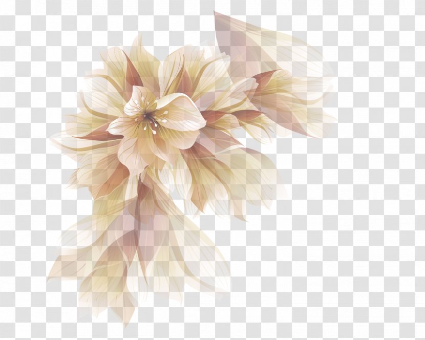Petal Flower - Threedimensional Space - Fantasy Flowers Transparent PNG