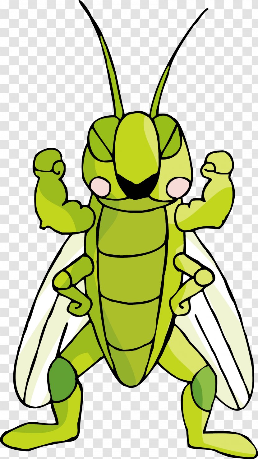 Insect Cartoon Locust Illustration - Pest - Cockroach Vector Transparent PNG