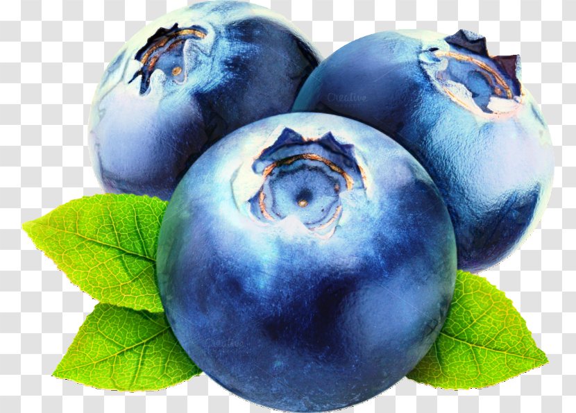 Pie Cartoon - Blueberry - Superfood Tree Transparent PNG