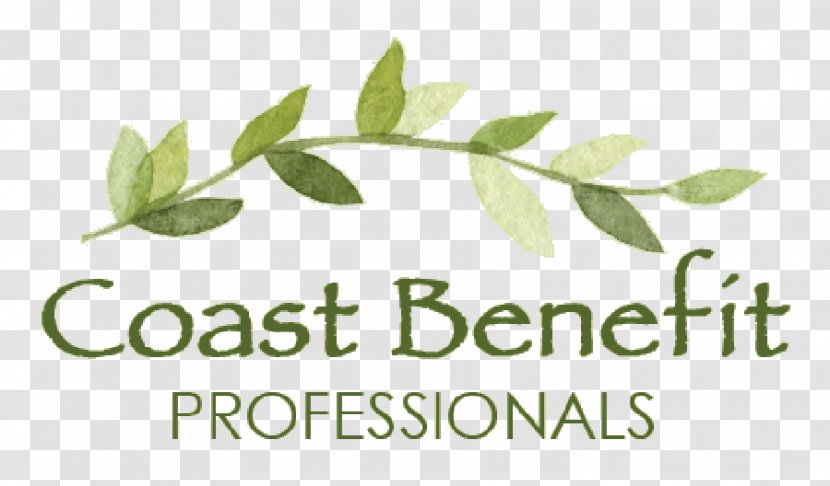 Coast Benefit Professionals Employee Benefits Ashley Drive Service Brand - Quality Transparent PNG