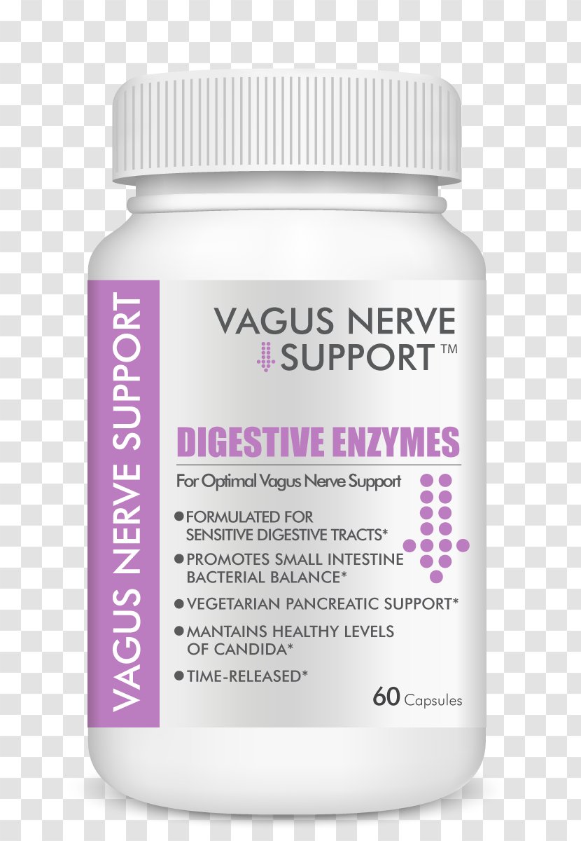 Vagus Nerve Parasympathetic Nervous System Acetylcholine - Neuromuscular Disease - Digestive Enzyme Transparent PNG