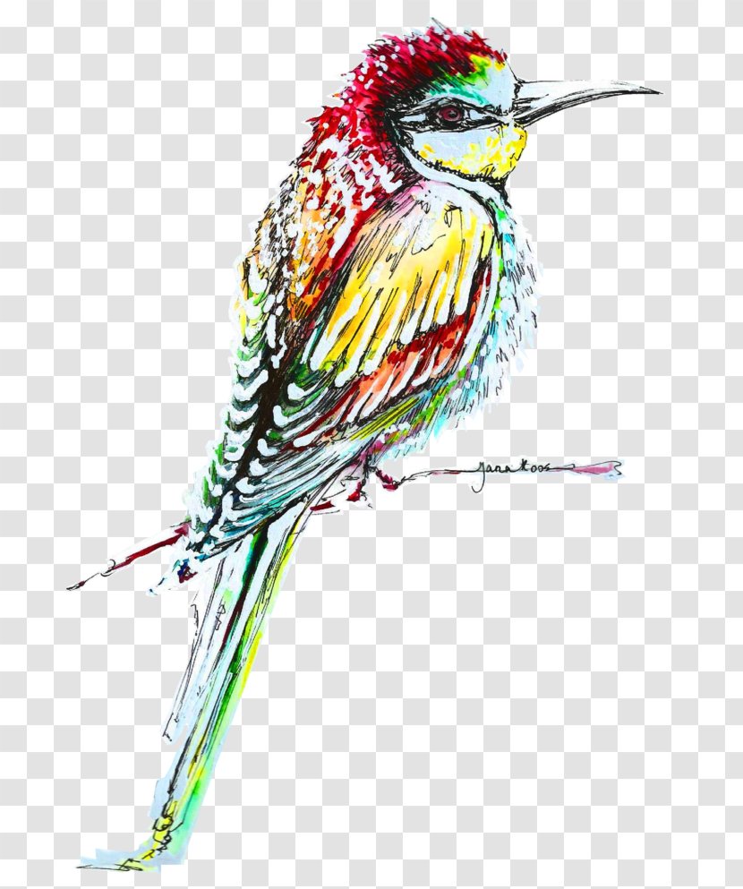 Drawing Beak Illustration /m/02csf Feather - Lovebird Watercolor Transparent PNG