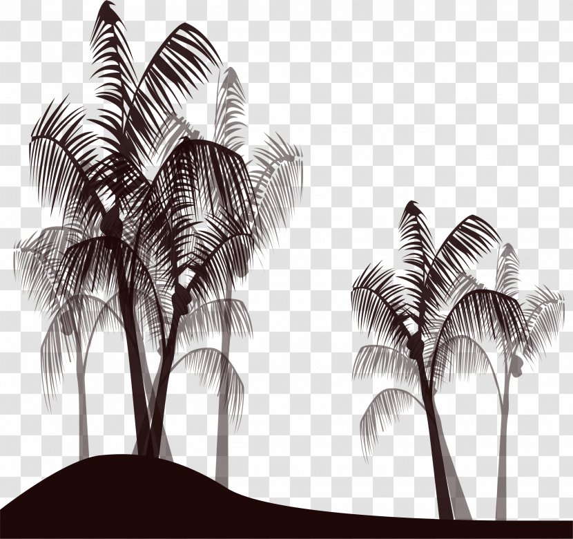 Arecaceae Black And White - Plant - Palm Trees Transparent PNG