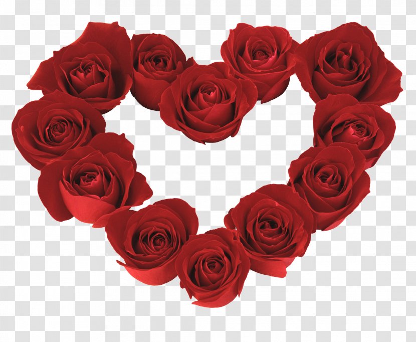 Garden Roses Valentine's Day Heart Flower - Rose Transparent PNG