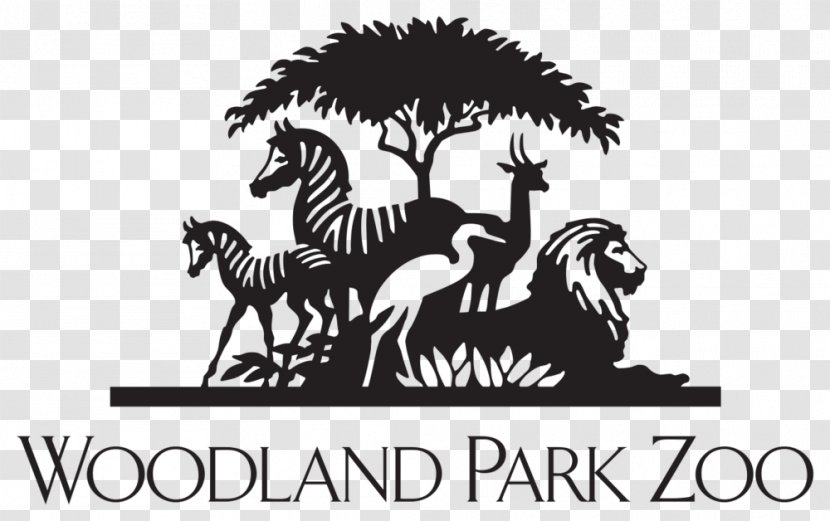 Woodland Park Zoo Montgomery Bronx Association Of Zoos And Aquariums - Horse Like Mammal Transparent PNG