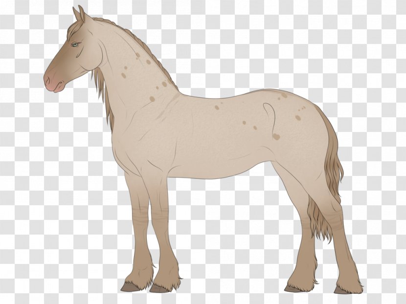Mane Mustang Foal Stallion Mare - Halter Transparent PNG