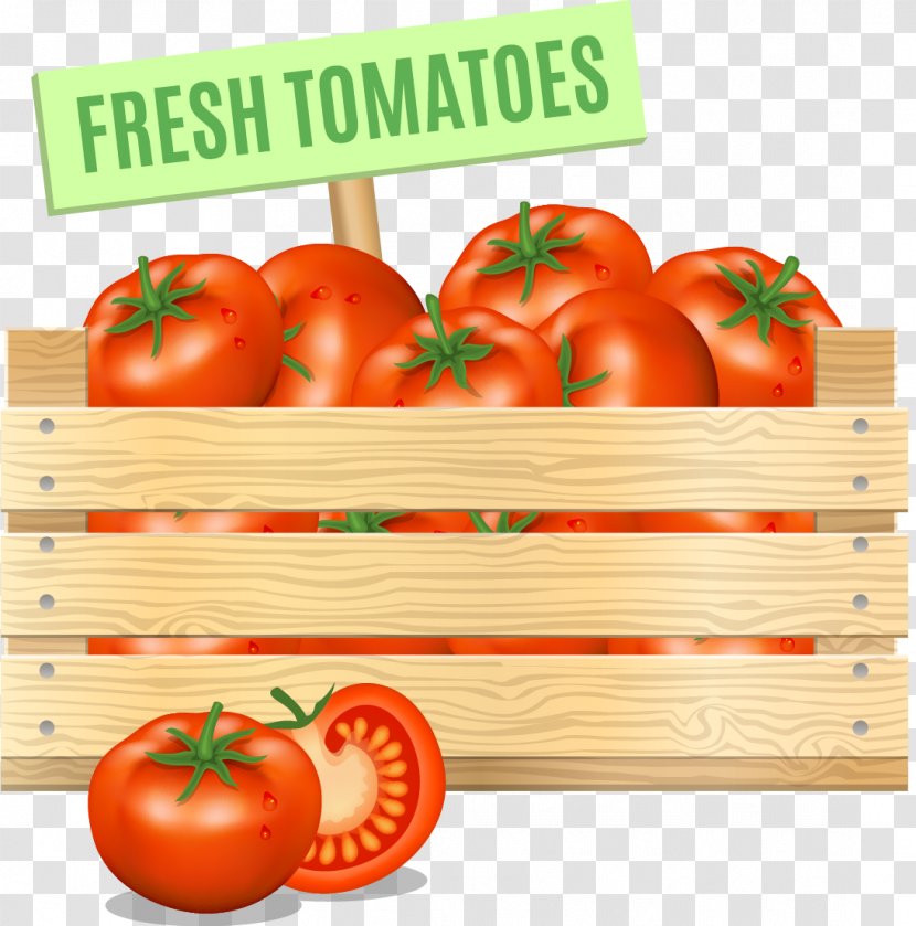 Tomato Vegetable Vegetarian Cuisine Food - Diet Transparent PNG