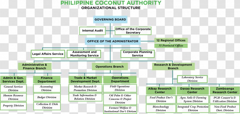 Organizational Chart Project Management Structure - Material - Mori ...