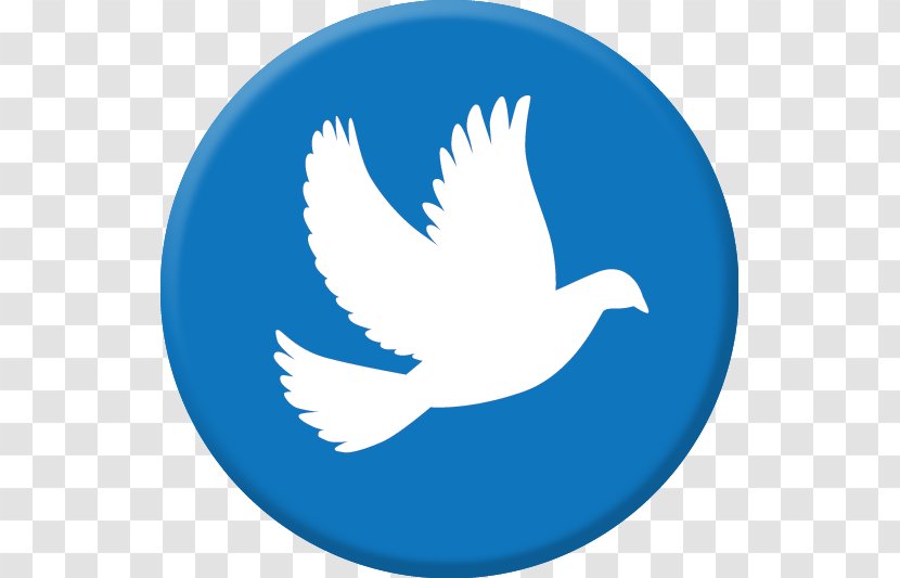 Social Media Tooth Decay Dentistry - The Dove Of Peace Transparent PNG