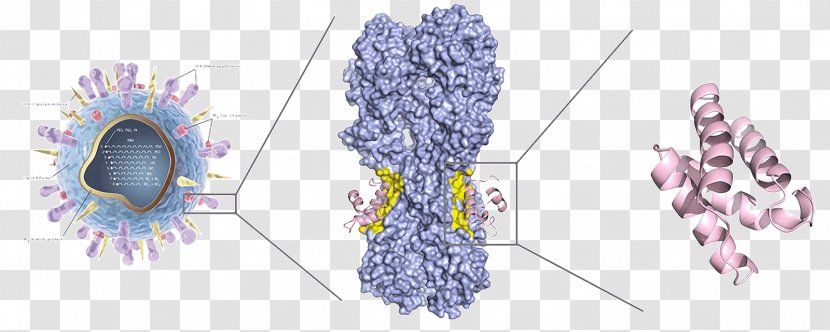 Cut Flowers Design Influenza A Virus Subtype H5N1 Avian Illustration - Frame Transparent PNG