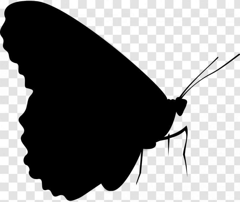 Brush-footed Butterflies Moth Clip Art Silhouette M. Butterfly - Blackandwhite Transparent PNG