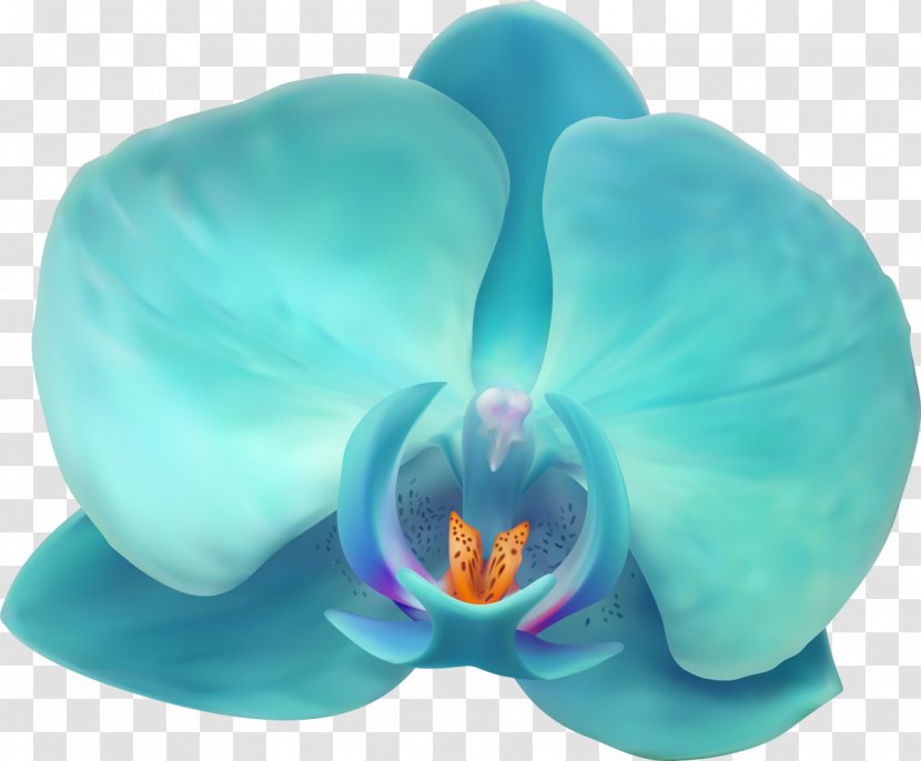 Islam Blue Idea Quotation - Flowering Plant - Orchid Transparent PNG