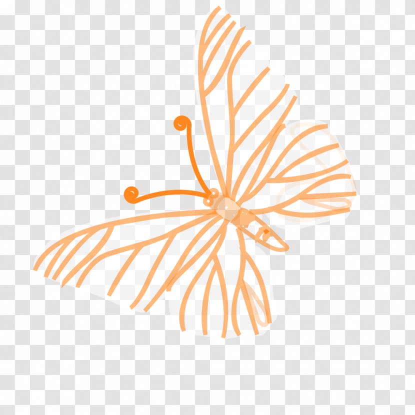Illustration - Area - Dragonfly Lines Transparent PNG
