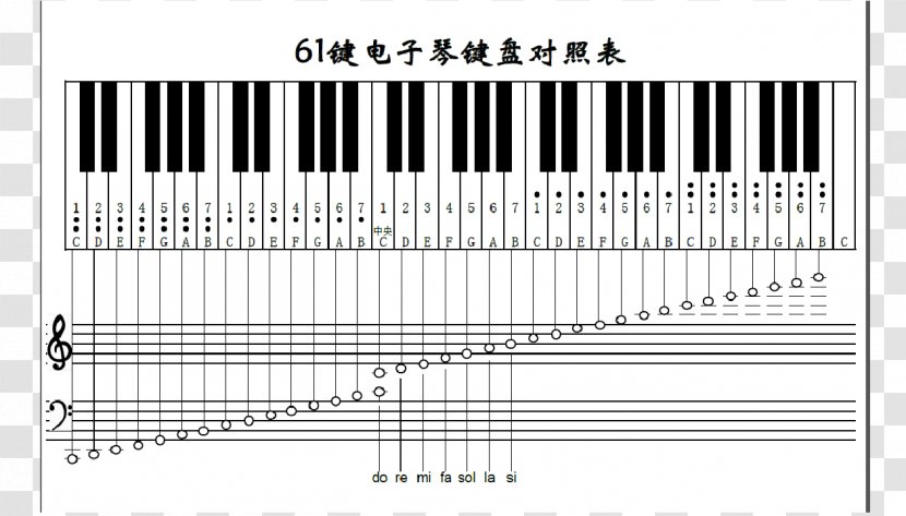 Digital Piano Musical Keyboard Octave - Flower Transparent PNG
