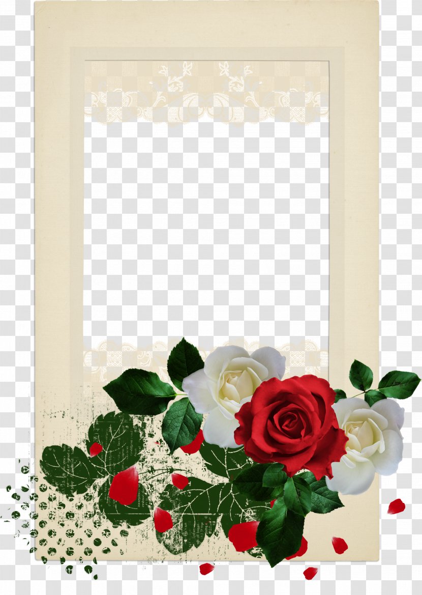 Garden Roses Beach Rose Flower Clip Art - Borders Transparent PNG