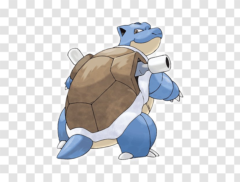 Blastoise Wartortle Feraligatr Generazione Squirtle - Banner Transparent PNG