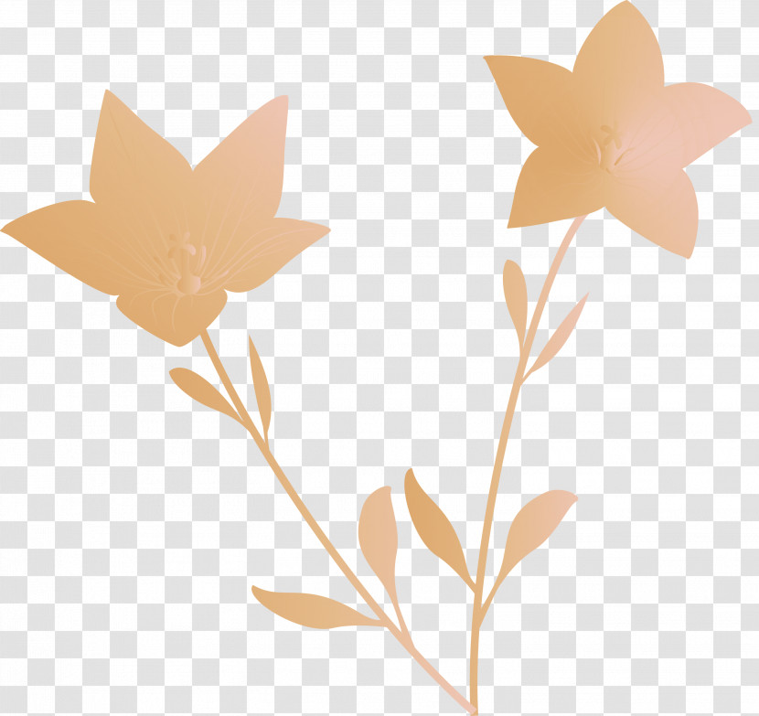 Balloon Flower Transparent PNG