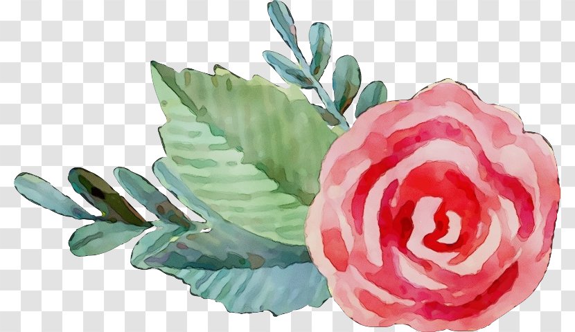 Blue Watercolor Flowers - Cabbage Rose - Protea Order Transparent PNG