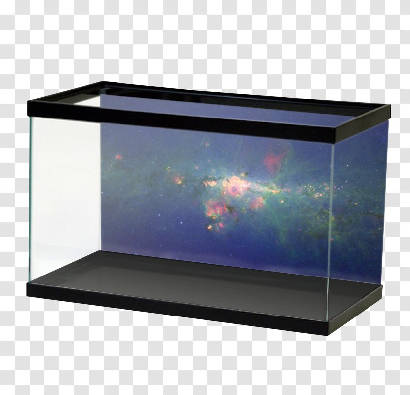 Reef Aquarium Paper Fish Glass - Table Transparent PNG