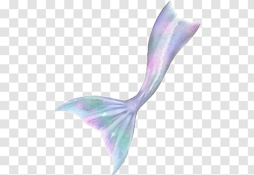 Mermaid Fin Fun Monofin Tail - Watercolor Transparent PNG