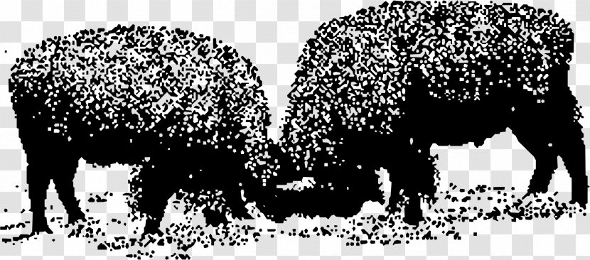 United States Cattle Bison - Snout - Buffalo Transparent PNG
