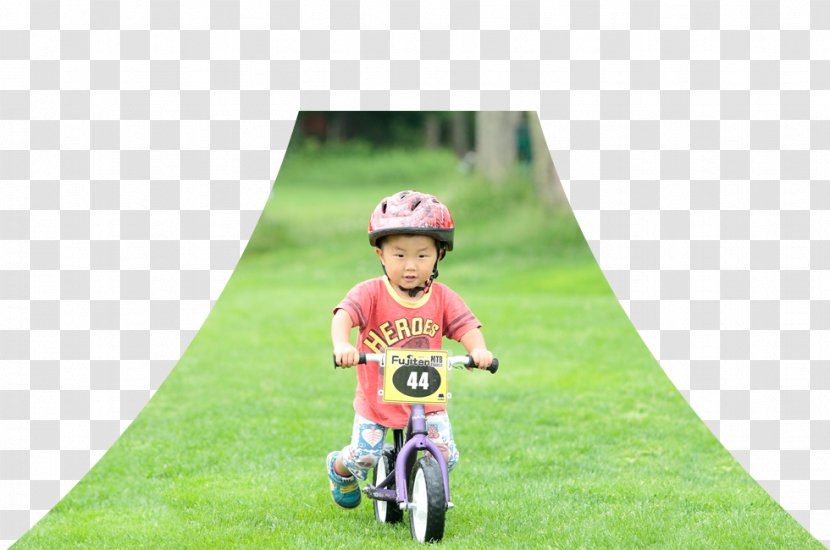 Cycling Bicycle Vehicle Lawn Toddler - Play - Balance Transparent PNG