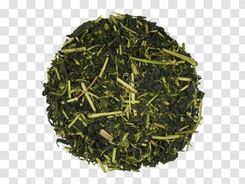 Sencha Hōjicha Green Tea Tamaryokucha - Keemun - Japanese Transparent PNG
