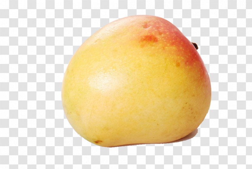 Mango Fruit Apple Icon Transparent PNG