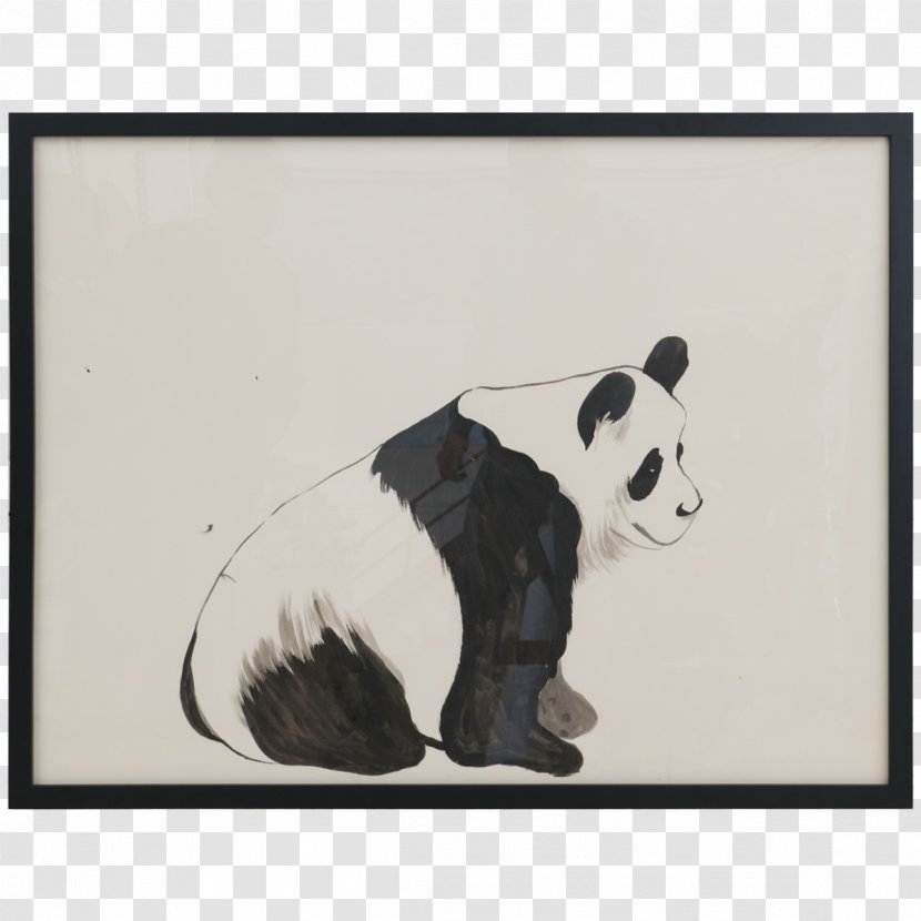 Cat Bear Giant Panda Carnivora Animal - Watercolor Transparent PNG