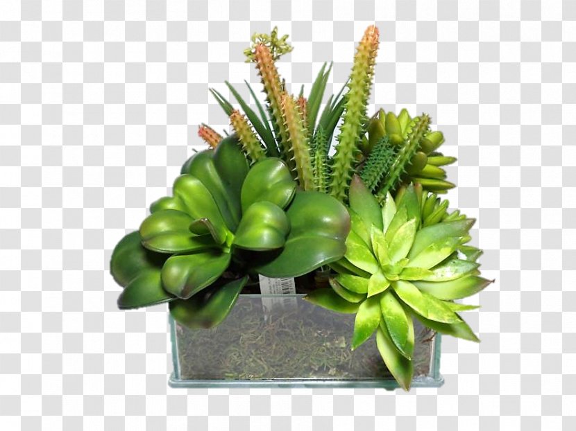 Table Flowerpot Green Wall Garden Potting Soil Transparent PNG