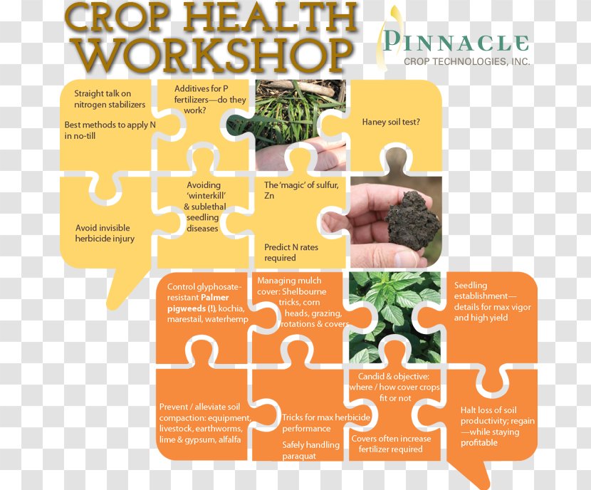 Nutrient Agronomy Horticulture News Crop - Micronutrient - Pinnacle Wellness Transparent PNG
