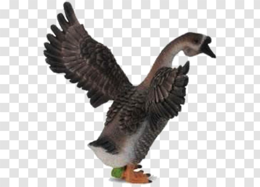 Goose Mallard Bird Amazon.com 0 - Horse - Wings Of The Transparent PNG