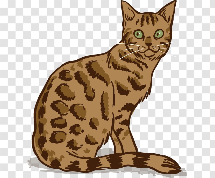 Bengal Cat Siamese Burmese Persian Kitten - Leopard Transparent PNG
