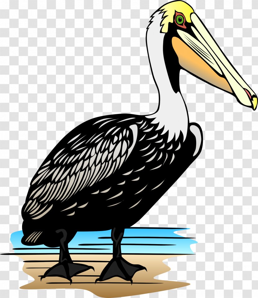 Pelican Clip Art - Bird - Stork Transparent PNG